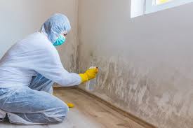 Trusted Westwood Lakes, FL Mold Remediation Experts